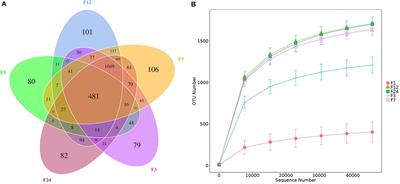 The Composition and Predictive Function of the Fecal Microbiota Differ Between Young and Adult Donkeys